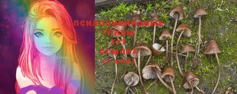 Галлюциногенные грибы Psilocybine cubensis Рыбное